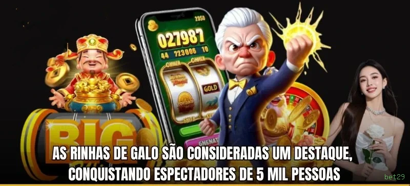 Suporte VIP bet29 - atendimento prioritário
